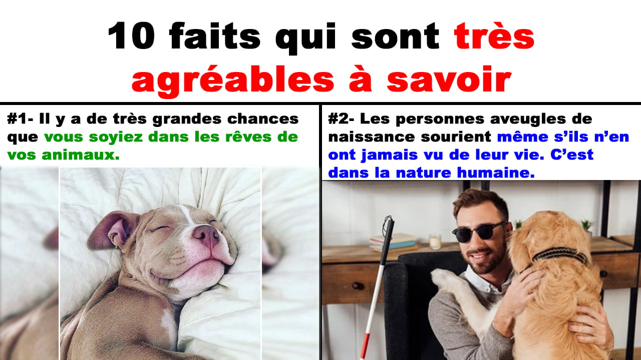 10-faits-qui-sont-tr-s-agr-ables-savoir-blaguesqu-bec